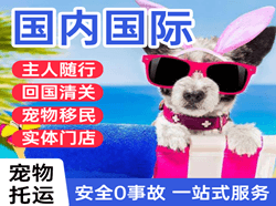 盐城航空空运国际宠物托运 【国